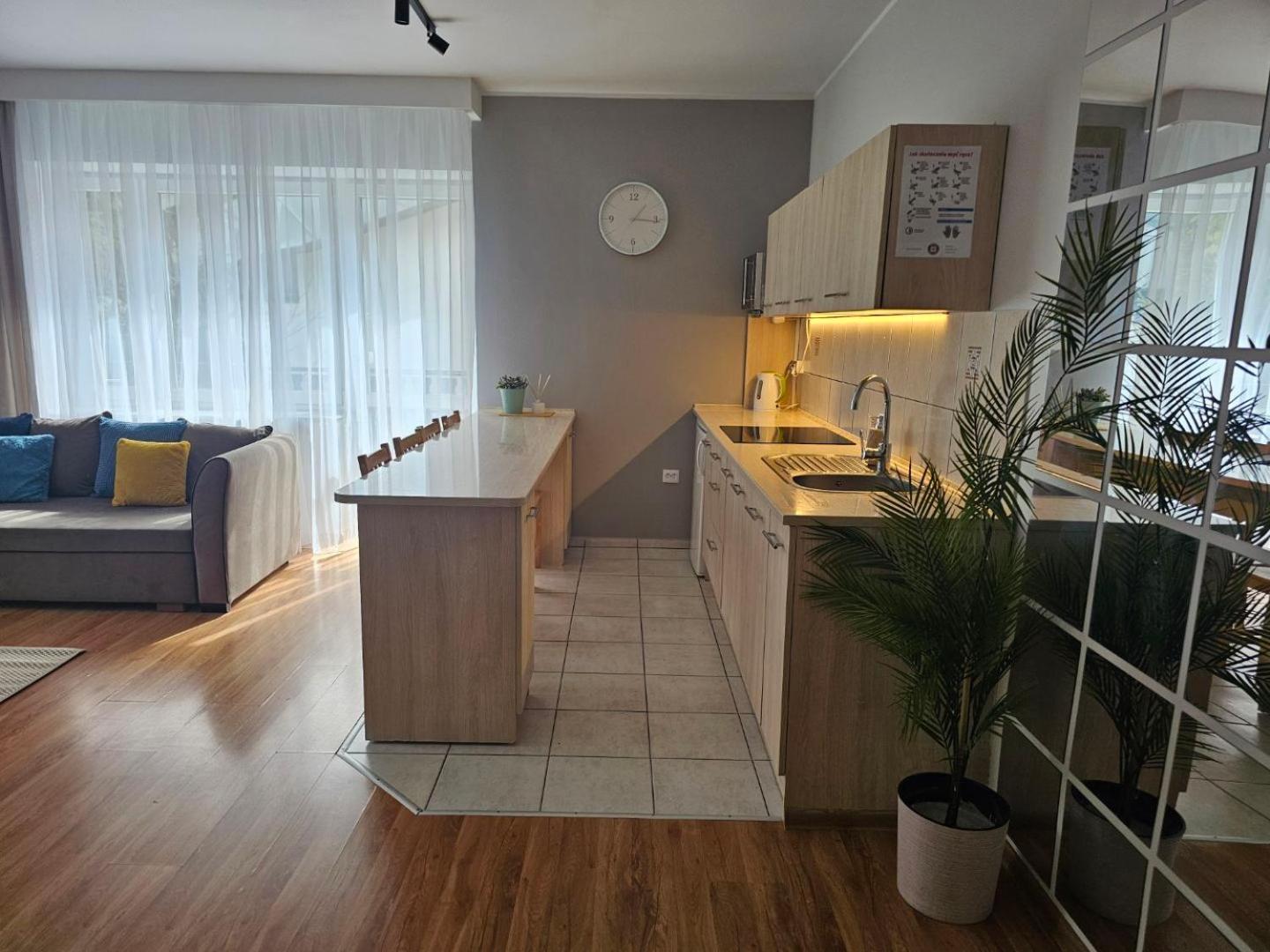 Apartament Rema W Centrum Apartzakop Zakopane Buitenkant foto
