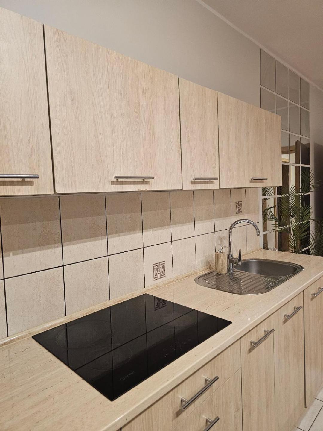 Apartament Rema W Centrum Apartzakop Zakopane Buitenkant foto